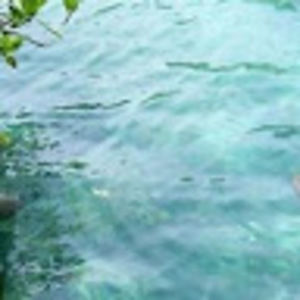 Meet your Posher, Hessa k.